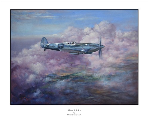 Silver spitfire supermarine - silver,